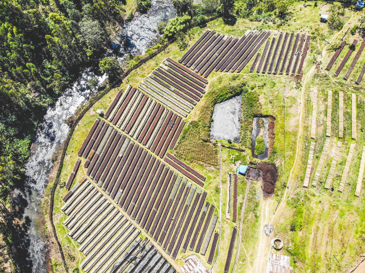 Ethiopia Keramo Adara