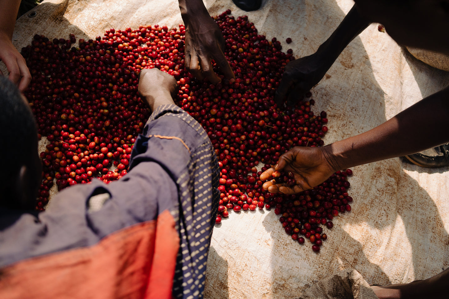 Burundi Ninga Hill