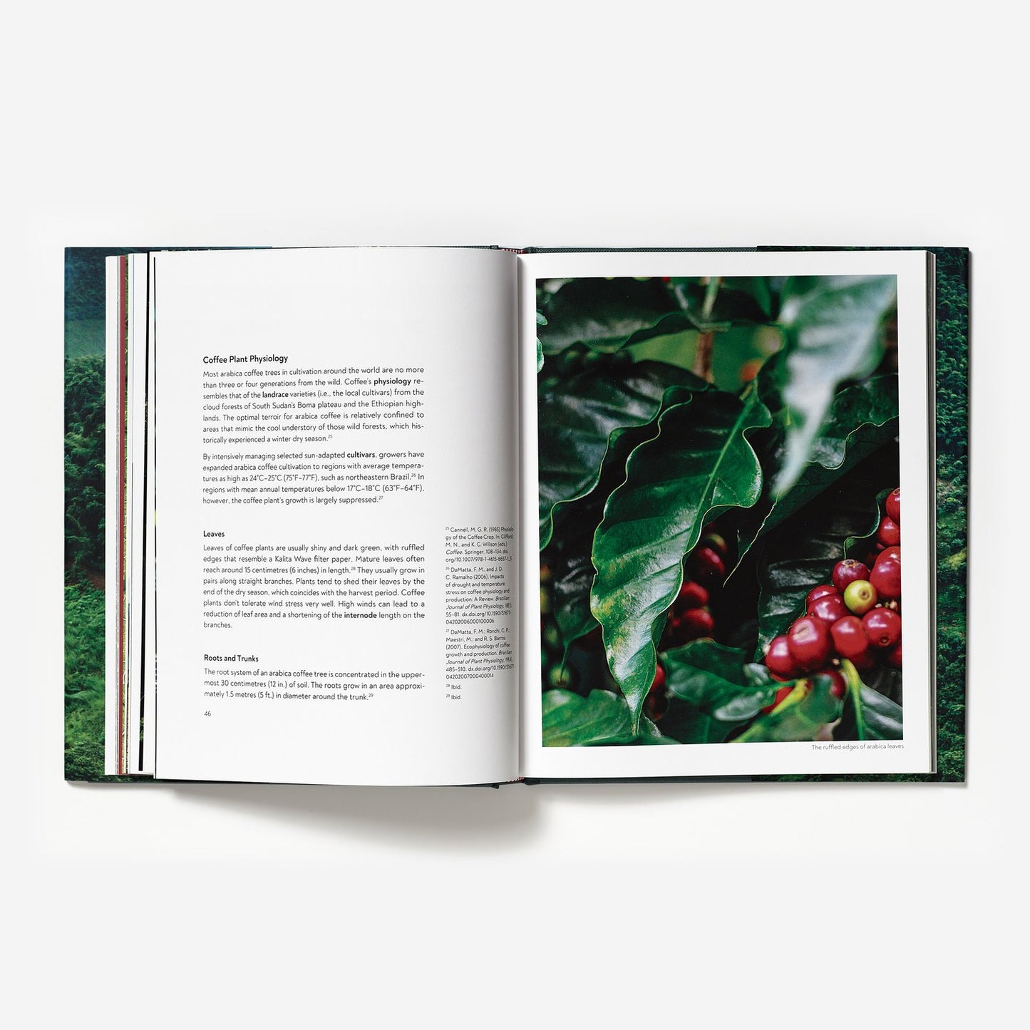 Terroir - Barista Hustle
