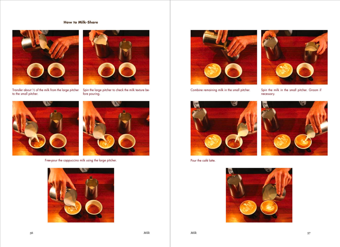 Professional Barista's Handbook - Scott Rao