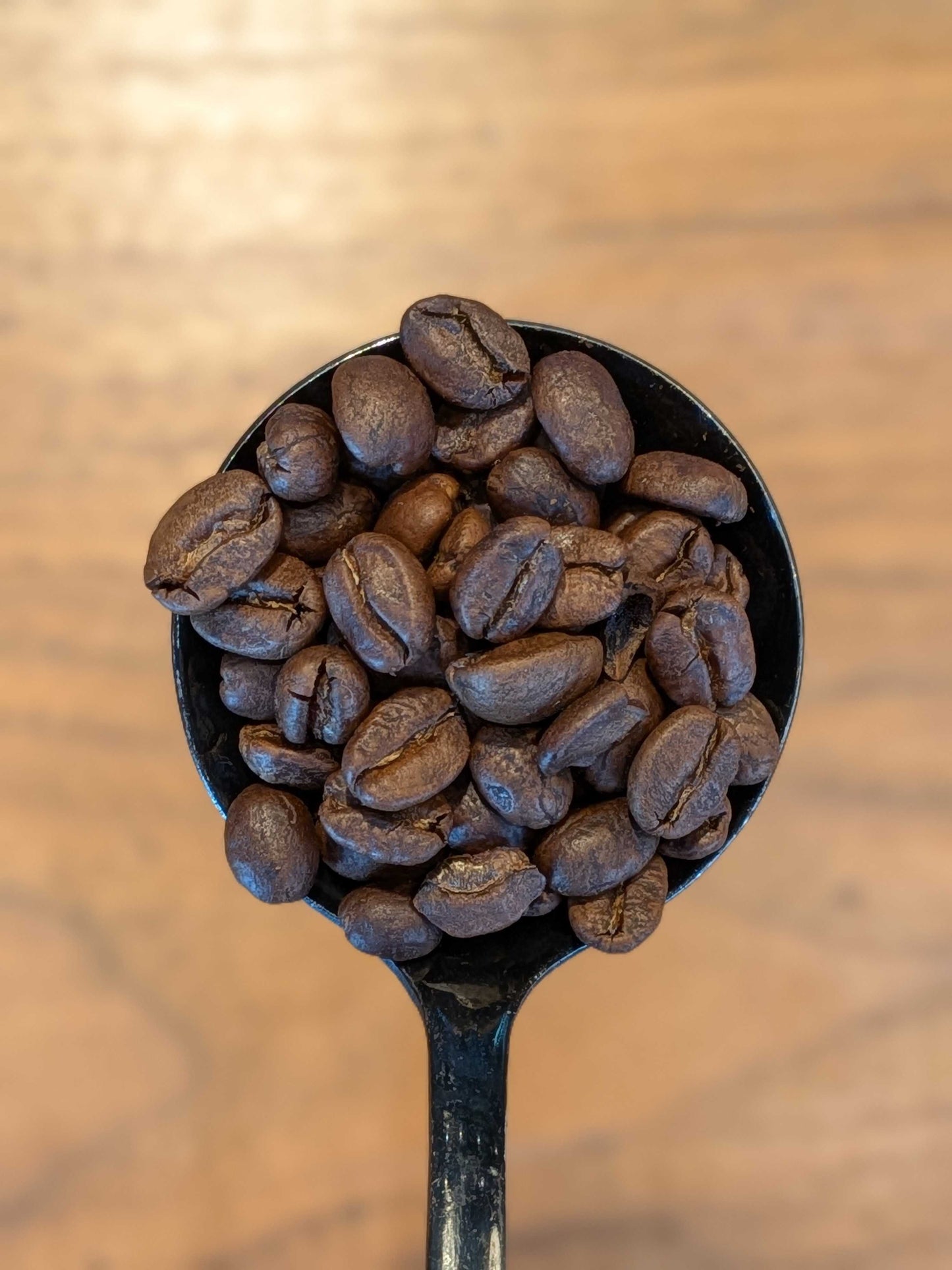 Decaffeinated Coffee Whole Beans on a Cupping Spoon