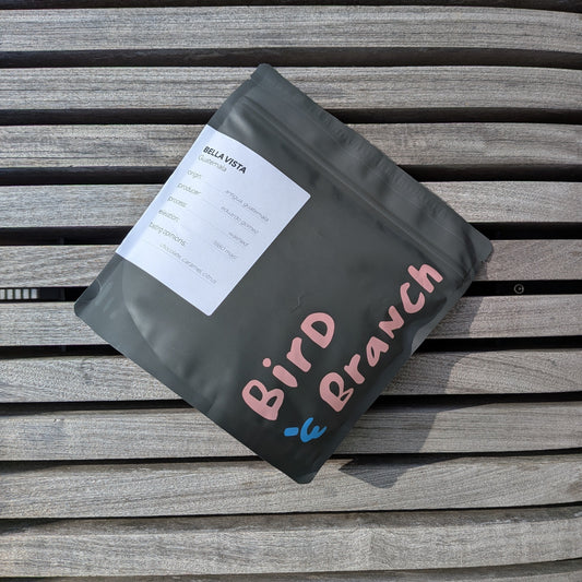 Guatemala Bella Vista Whole Bean Coffee 10oz retail bag