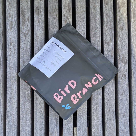 Mexico Finca Santa Cruz