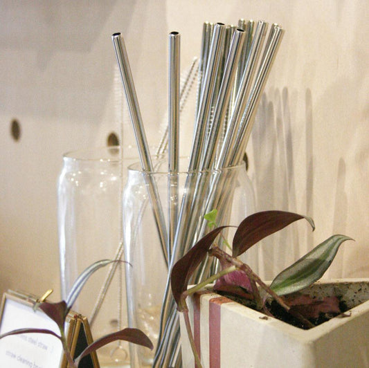 Stainless Steel Straw
